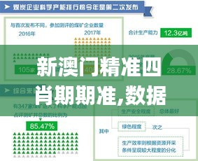 新澳門精準四肖期期準,數(shù)據(jù)引導執(zhí)行策略_車載版CAC7.44