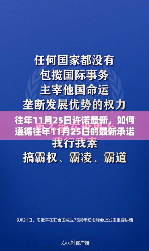 如何遵循往年11月25日最新承諾，實(shí)現(xiàn)目標(biāo)達(dá)成之路