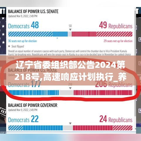遼寧省委組織部公告2024第218號(hào),高速響應(yīng)計(jì)劃執(zhí)行_養(yǎng)生版YQC7.93