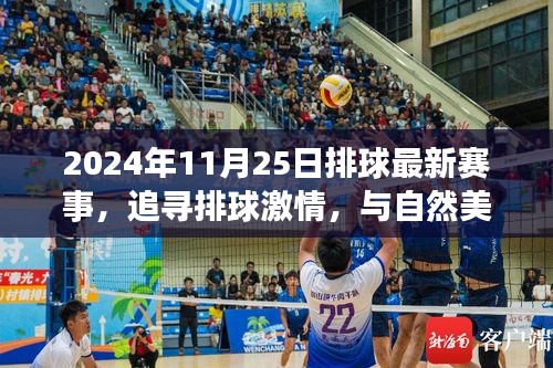 追尋激情與美景，2024年11月25日排球賽事之旅