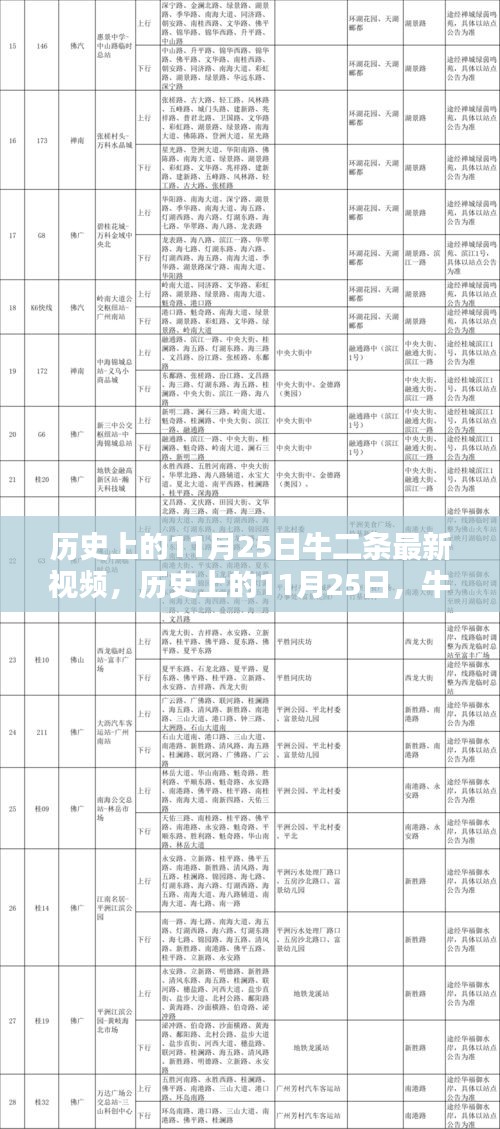 歷史上的11月25日牛二條最新視頻深度解析與評(píng)測(cè)