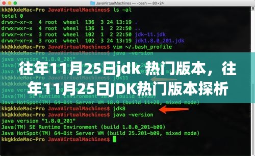 往年11月25日J(rèn)DK熱門版本深度解析，觀點(diǎn)與個(gè)人立場(chǎng)探討