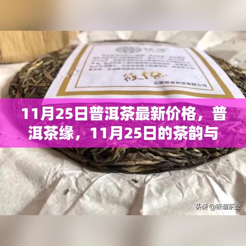 11月25日普洱茶最新價格，茶韻與溫情的邂逅