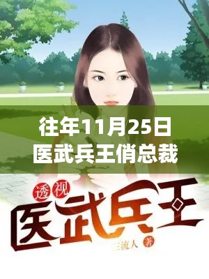 醫(yī)武兵王俏總裁最新動態(tài)及深度解讀，歷年11月25日回顧與前瞻