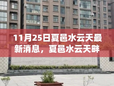 夏邑水云天畔的秋日友情之旅，最新消息與溫馨日常