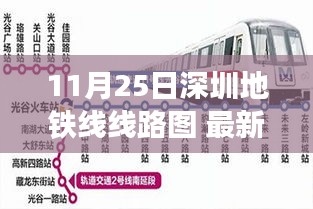最新深圳地鐵線路圖解讀，11月25日深圳地鐵網(wǎng)絡(luò)新變化全解析