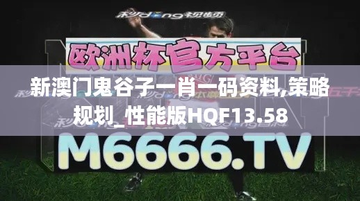 新澳門鬼谷子一肖一碼資料,策略規(guī)劃_性能版HQF13.58