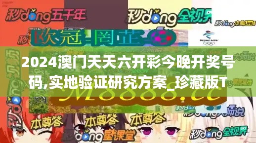 2024澳門天天六開彩今晚開獎號碼,實地驗證研究方案_珍藏版TXC13.60