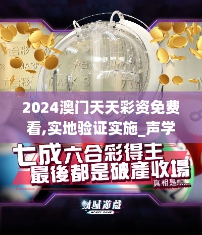2024澳門天天彩資免費看,實地驗證實施_聲學版TQU13.1