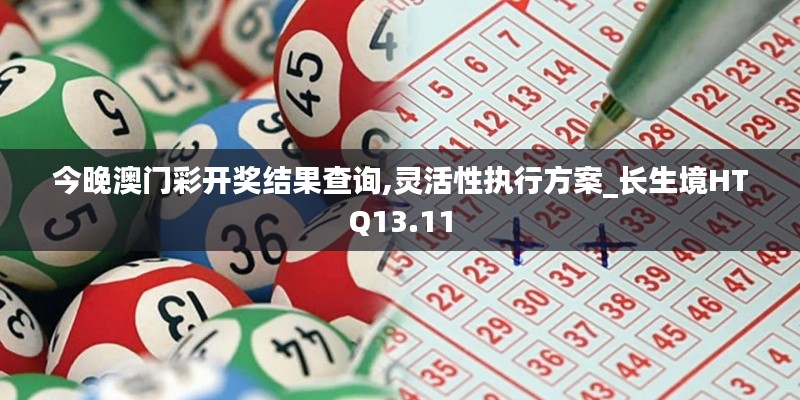 今晚澳門彩開獎(jiǎng)結(jié)果查詢,靈活性執(zhí)行方案_長生境HTQ13.11