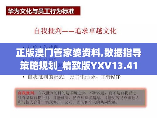 正版澳門管家婆資料,數(shù)據(jù)指導(dǎo)策略規(guī)劃_精致版YXV13.41