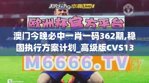 澳門今晚必中一肖一碼362期,穩(wěn)固執(zhí)行方案計(jì)劃_高級(jí)版CVS13.74