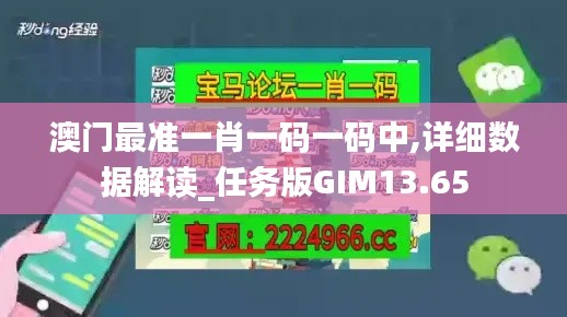 澳門最準(zhǔn)一肖一碼一碼中,詳細(xì)數(shù)據(jù)解讀_任務(wù)版GIM13.65