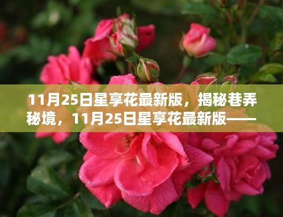 揭秘巷弄秘境，星享花最新版特色小店探秘之旅
