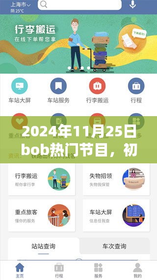 初學(xué)者與進(jìn)階用戶觀看指南，Bob熱門節(jié)目詳細(xì)步驟及精彩內(nèi)容回顧（2024年11月25日）