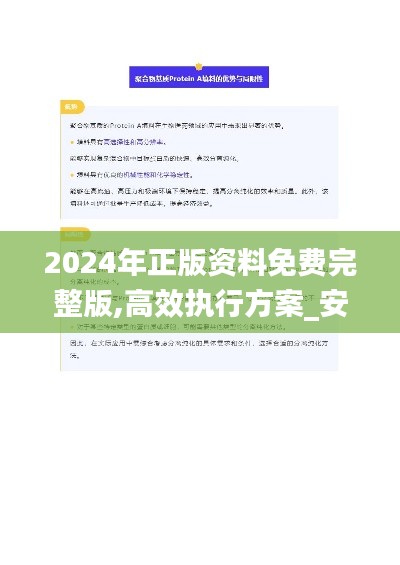 2024年正版資料免費(fèi)完整版,高效執(zhí)行方案_安靜版BIG13.24