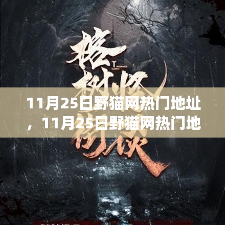 揭秘野貓網(wǎng)熱門地址背后的故事，背景、事件、影響與時代地位解析