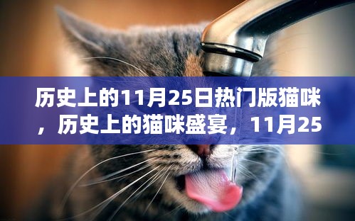 歷史上的貓咪盛宴，11月25日的璀璨篇章與貓咪盛宴回顧