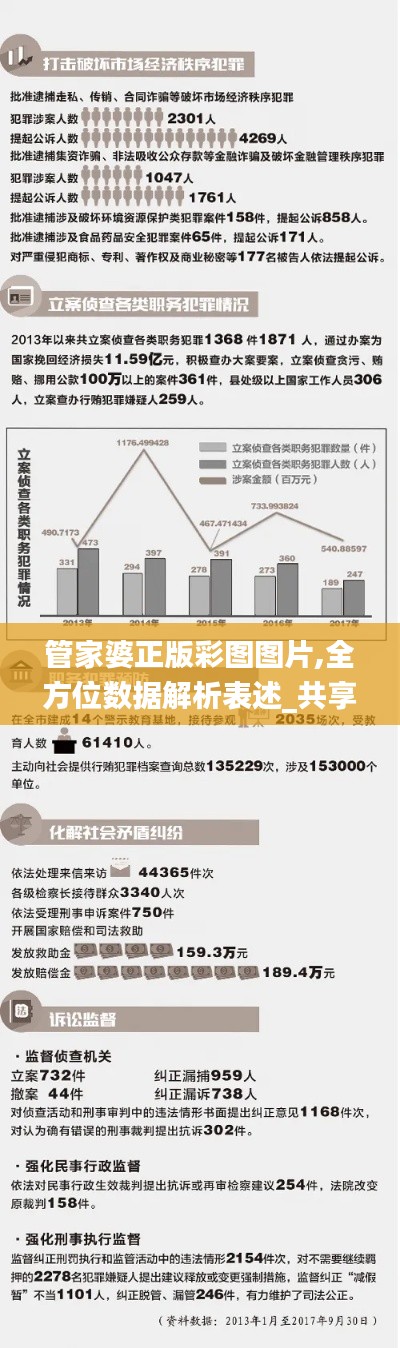 管家婆正版彩圖圖片,全方位數(shù)據(jù)解析表述_共享版RMW13.16