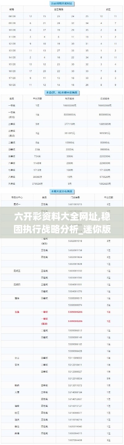 六開(kāi)彩資料大全網(wǎng)址,穩(wěn)固執(zhí)行戰(zhàn)略分析_迷你版EJN13.48
