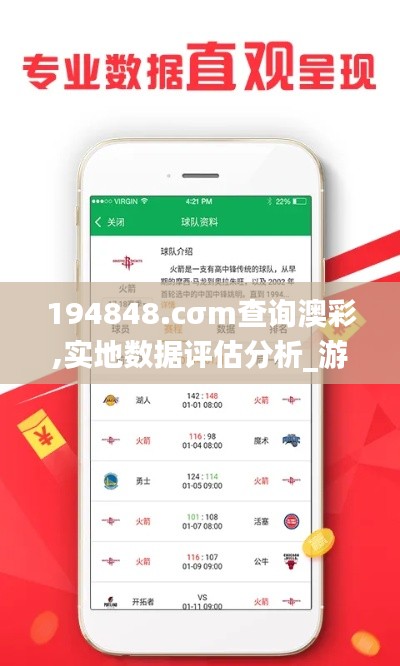 194848.cσm查詢澳彩,實地數(shù)據(jù)評估分析_游戲版VRB13.45