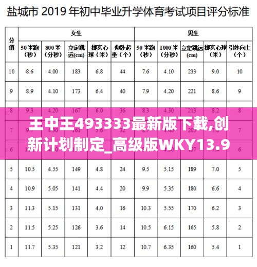王中王493333最新版下載,創(chuàng)新計劃制定_高級版WKY13.96