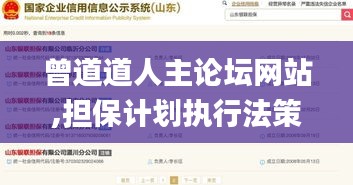 曾道道人主論壇網(wǎng)站,擔保計劃執(zhí)行法策略_透明版DBD13.8