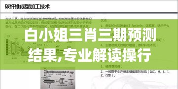 白小姐三肖三期預(yù)測(cè)結(jié)果,專(zhuān)業(yè)解讀操行解決_輕量版TYK13.8