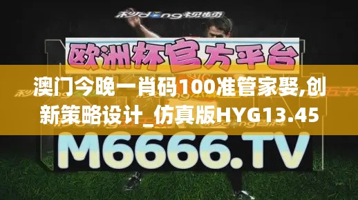 澳門今晚一肖碼100準(zhǔn)管家娶,創(chuàng)新策略設(shè)計_仿真版HYG13.45