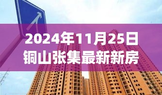 銅山張集最新新房房價(jià)動態(tài)及解析（2024年11月25日觀察報(bào)告）