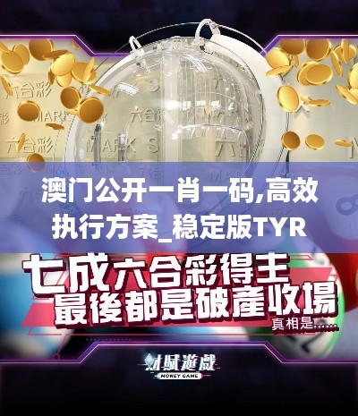 澳門(mén)公開(kāi)一肖一碼,高效執(zhí)行方案_穩(wěn)定版TYR13.56