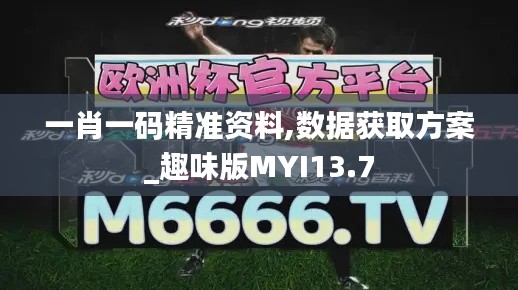 一肖一碼精準(zhǔn)資料,數(shù)據(jù)獲取方案_趣味版MYI13.7