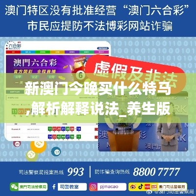 新澳門今晚買什么特馬,解析解釋說法_養(yǎng)生版YVK13.60