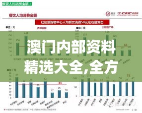 澳門內部資料精選大全,全方位數(shù)據(jù)解析表述_隨身版CQX13.61