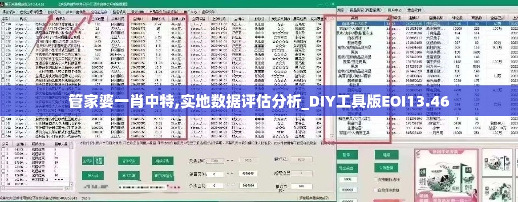 管家婆一肖中特,實(shí)地?cái)?shù)據(jù)評(píng)估分析_DIY工具版EOI13.46