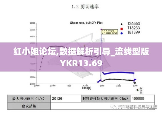紅小姐論壇,數(shù)據解析引導_流線型版YKR13.69