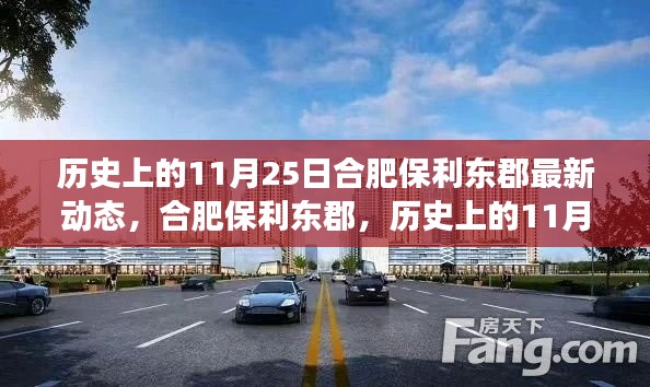 合肥保利東郡，歷史上的11月25日最新動態(tài)解讀