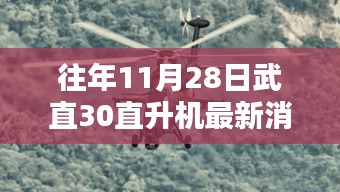 往年11月28日武直-30直升機(jī)最新消息深度分析與觀點(diǎn)闡述