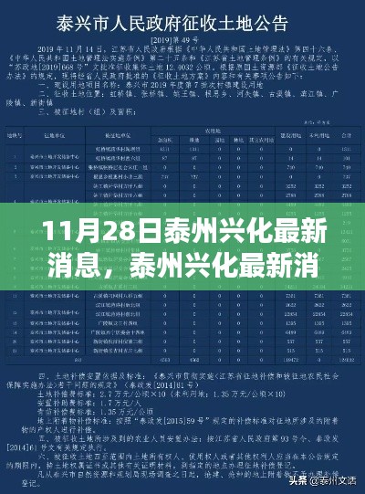 泰州興化最新消息匯總，聚焦要點(diǎn)解析（11月28日更新版）
