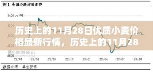 歷史上的11月28日優(yōu)質(zhì)小麥價(jià)格最新行情深度解析