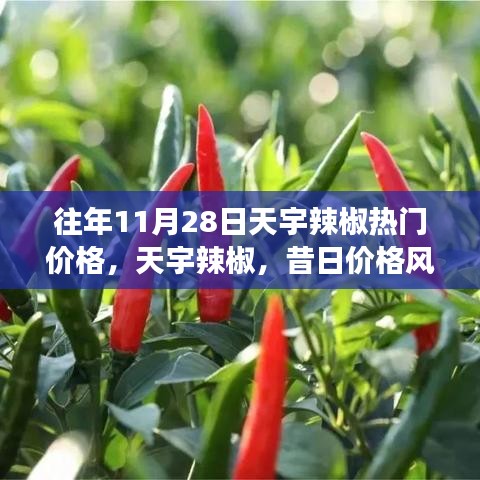天宇辣椒熱門價格揭秘，昔日價格風云回顧與影響分析
