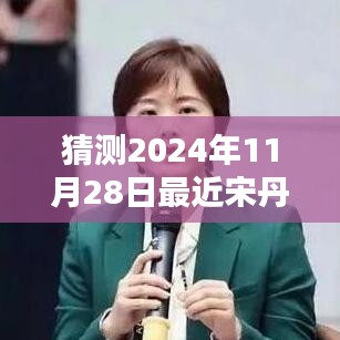 宋丹丹新劇預(yù)測(cè)指南，揭秘2024年11月28日最新電視劇猜測(cè)與期待！