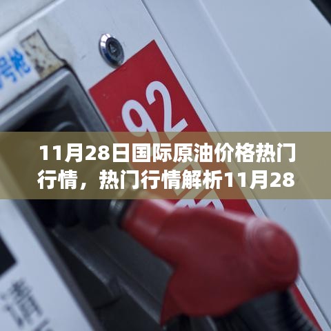 11月28日國際原油熱門行情解析，洞悉市場波動與應對策略