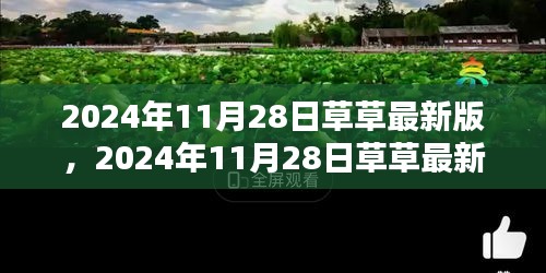 2024年11月28日草草最新版產(chǎn)品評測與詳細介紹