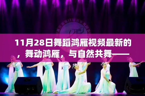 舞動鴻雁，與自然共舞的心靈之旅（最新11月28日舞蹈鴻雁視頻）
