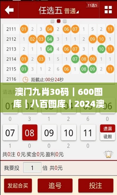 澳門九肖30碼｜600圖庫｜八百圖庫｜2024澳門資料庫｜澳門今晚必中一肖一碼｜永久免,科學(xué)分析嚴謹解釋_極致版QIU13.67
