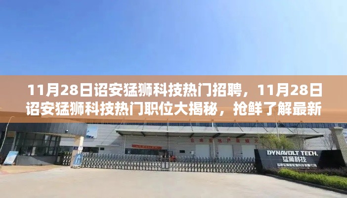 詔安猛獅科技最新招聘風(fēng)向揭秘，熱門職位搶鮮看