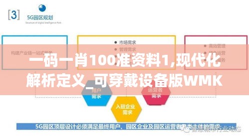 一碼一肖100準資料1,現(xiàn)代化解析定義_可穿戴設備版WMK13.99
