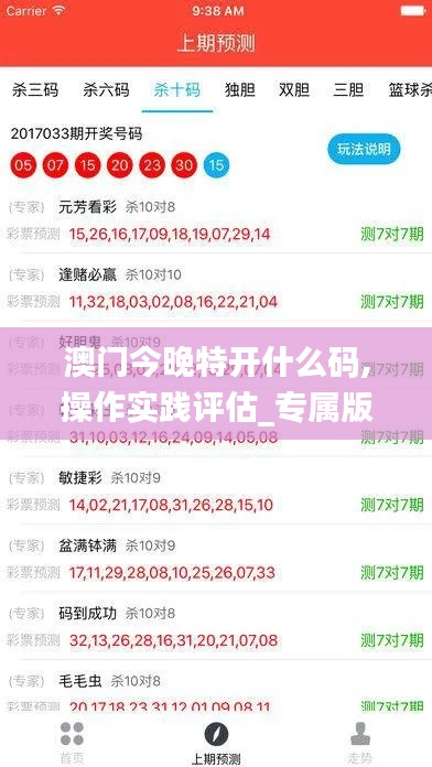 澳門今晚特開什么碼,操作實踐評估_專屬版KVC13.41