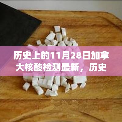 歷史上的11月28日加拿大核酸檢測(cè)最新進(jìn)展全面解析與評(píng)測(cè)